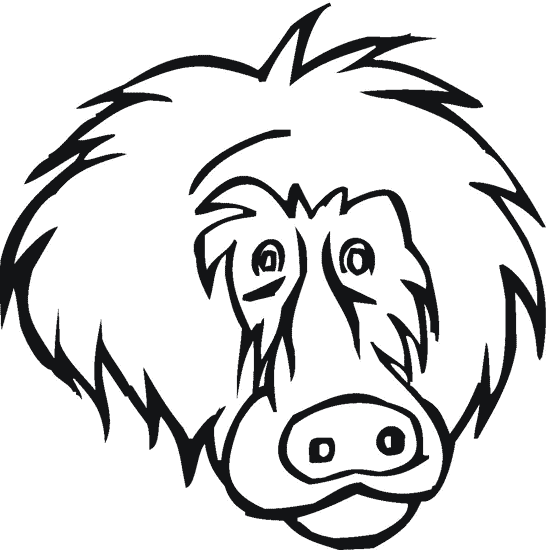 desene de colorat babuin maimuta